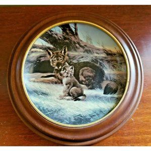 The Red Wolf Bradford Exchange Third Issue Last of Their Kind 1989 Framed Bradex